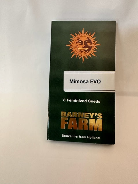 Mimosa EVO Seeds