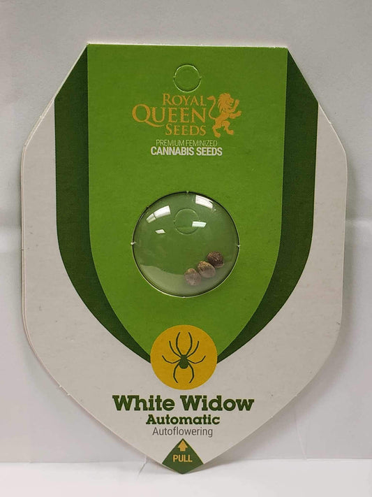 Royal Queen White Widow Auto Seeds