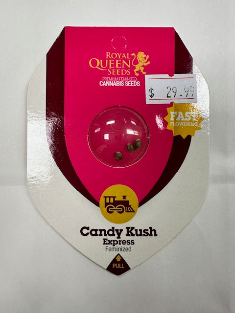 Royal Queen Candy Kush Express Feminized Seeds