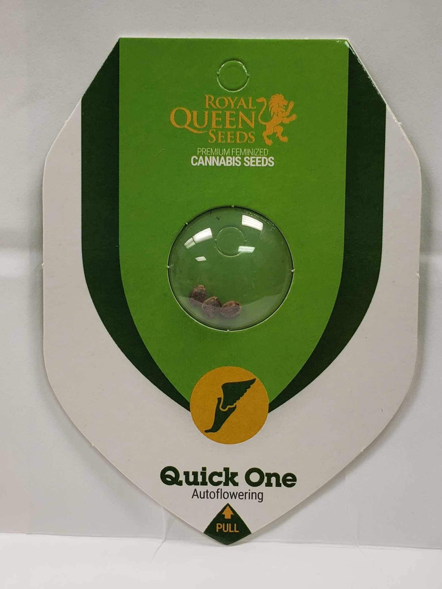 Royal Queen Quick One Auto Seeds